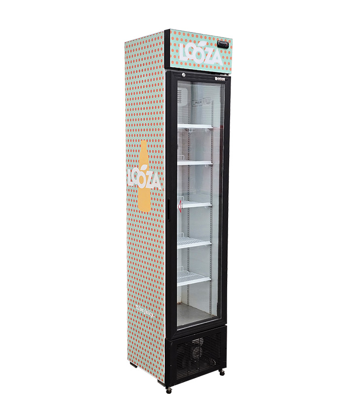 LOOZA FRIGO SLIM / DEPOT (valeur 800€)